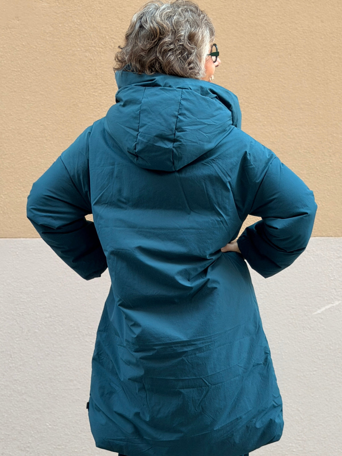 Down coat — hood and water-repellent